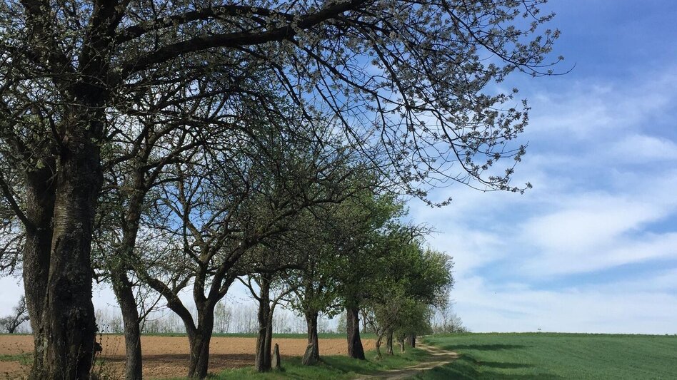 Theme path Perforated stone circuit, Vorau - Touren-Impression #2.6 | © Tourismus Info Vorau