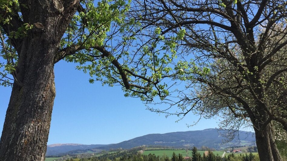 Theme path Perforated stone circuit, Vorau - Touren-Impression #2.1 | © Tourismus Info Vorau