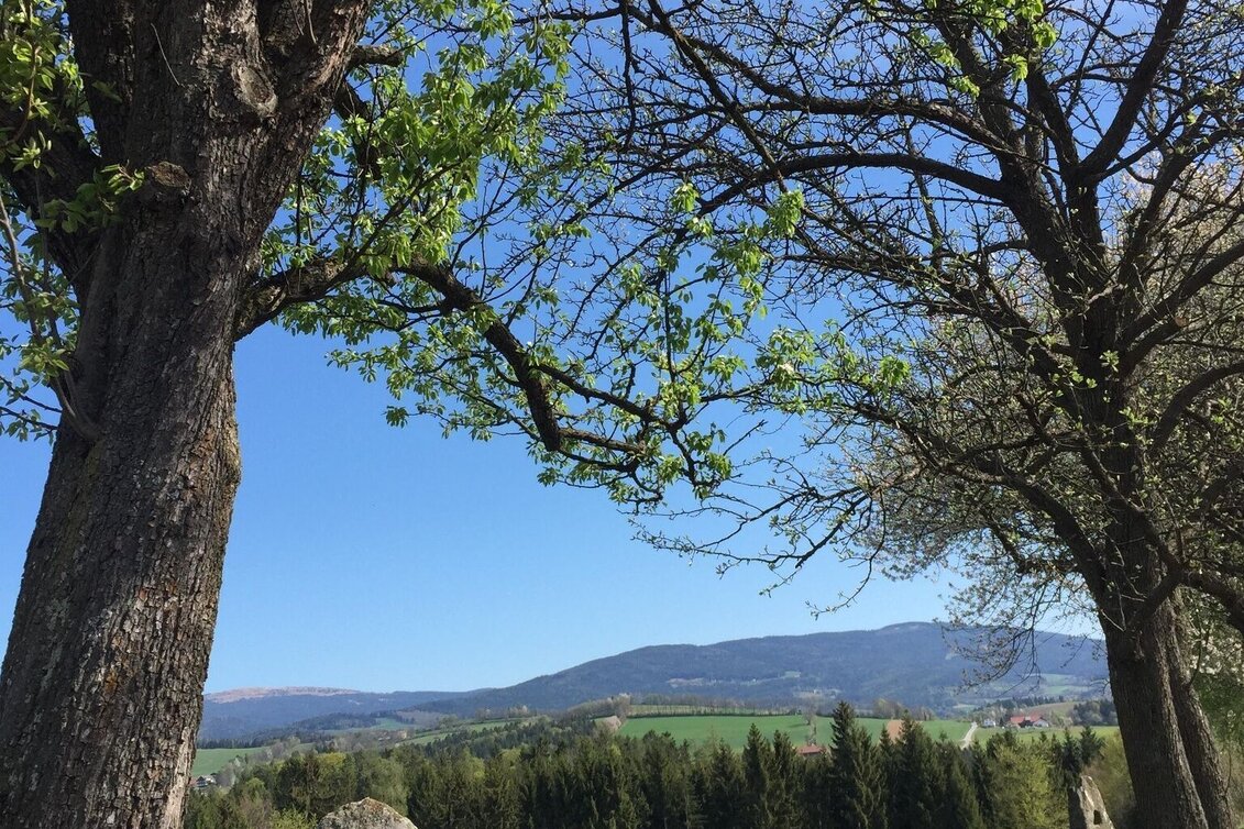 Theme path Perforated stone circuit, Vorau - Touren-Impression #1 | © Tourismus Info Vorau