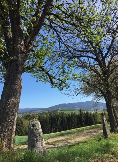 Aussicht | © Tourismus Info Vorau | Sarah Schweiger | © Tourismus Info Vorau