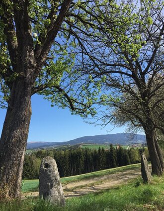 Aussicht | Sarah Schweiger | © Tourismus Info Vorau