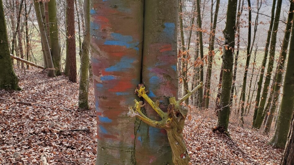 Themen- und Lehrpfad Kunst-Panorama-Weg Hatzendorf - Touren-Impression #2.8 | © Thermen- & Vulkanland