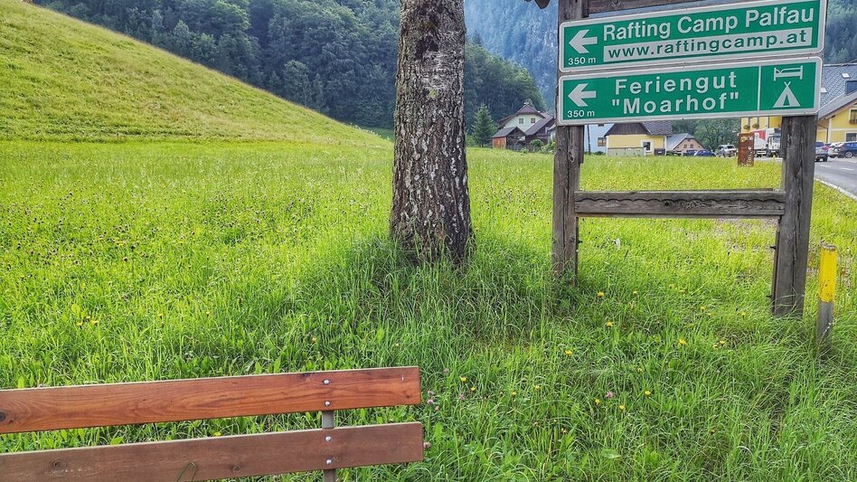 Wanderung Landler Spazierweg #1 von Obere Palfau über Kirche- Bauernrunde- Untere Palfau - Touren-Impression #2.1 | © TV Gesäuse