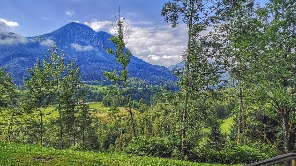 Wanderung Landler Spazierweg #1 von Obere Palfau über Kirche- Bauernrunde- Untere Palfau - Touren-Impression #2.6 | © TV Gesäuse