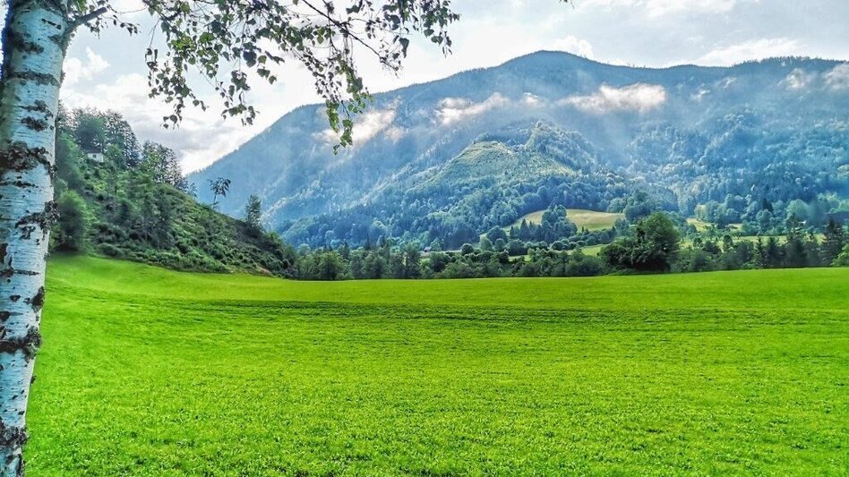 Wanderung Landler Spazierweg #1 von Obere Palfau über Kirche- Bauernrunde- Untere Palfau - Touren-Impression #2.7 | © TV Gesäuse