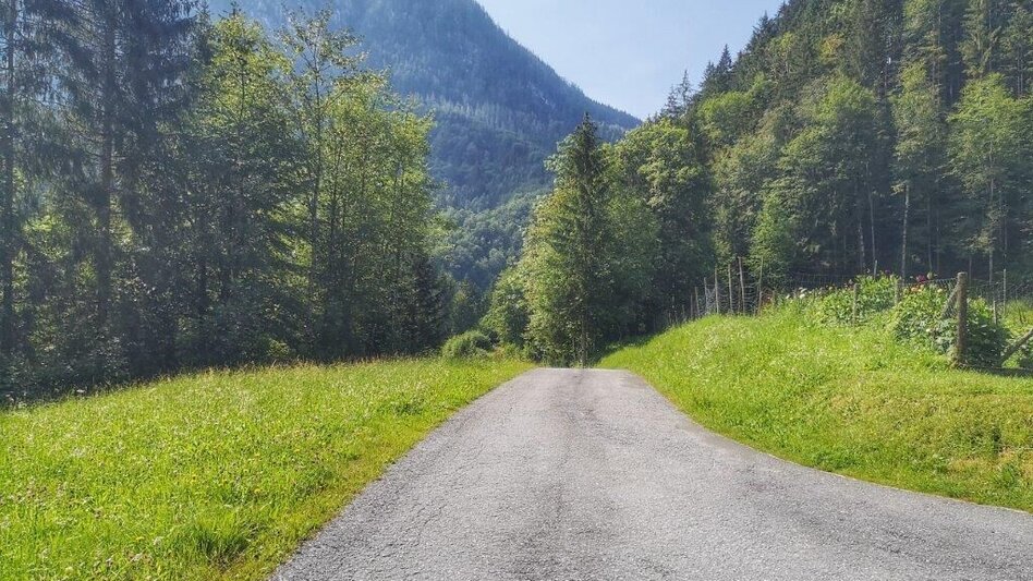 Wanderung Landler Spazierweg #1 von Obere Palfau über Kirche- Bauernrunde- Untere Palfau - Touren-Impression #2.8 | © TV Gesäuse