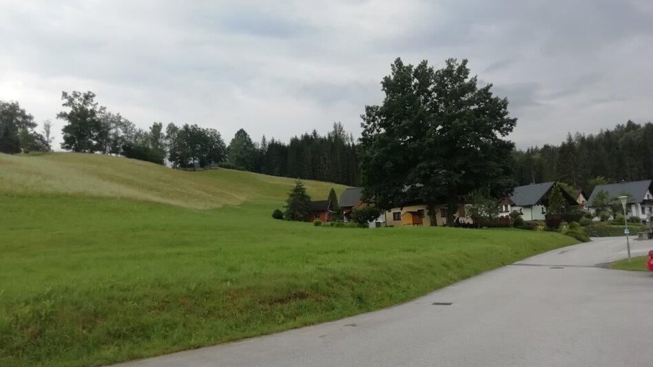 Hiking route Landler Country walk #2 (chapel path) - Touren-Impression #2.1 | © TV Gesäuse