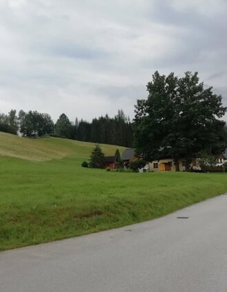 Weg von der Kirche Richtung Strasse | Tourismusverband Gesäuse | © TV Gesäuse