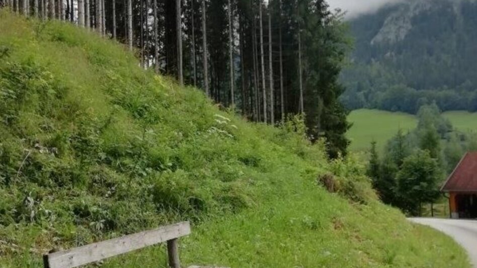 Hiking route Landler Country walk #2 (chapel path) - Touren-Impression #2.6 | © TV Gesäuse