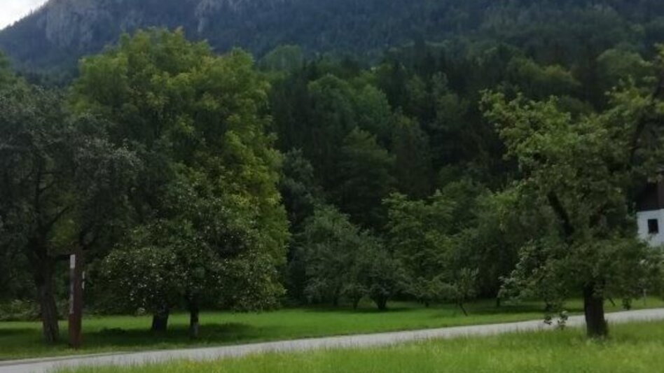 Hiking route Landler Country walk #2 (chapel path) - Touren-Impression #2.7 | © TV Gesäuse