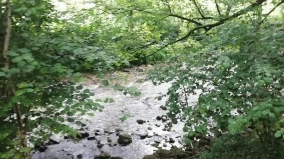 Hiking route Landler Country walk #2 (chapel path) - Touren-Impression #2.9 | © TV Gesäuse