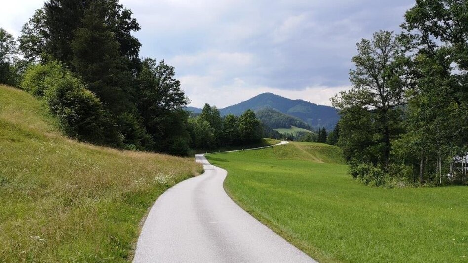 Hiking route Landler Country walk #2 (chapel path) - Touren-Impression #2.15 | © TV Gesäuse