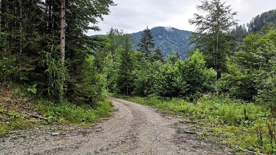 Hiking route Landler Country walk #3 - Touren-Impression #2.3 | © TV Gesäuse