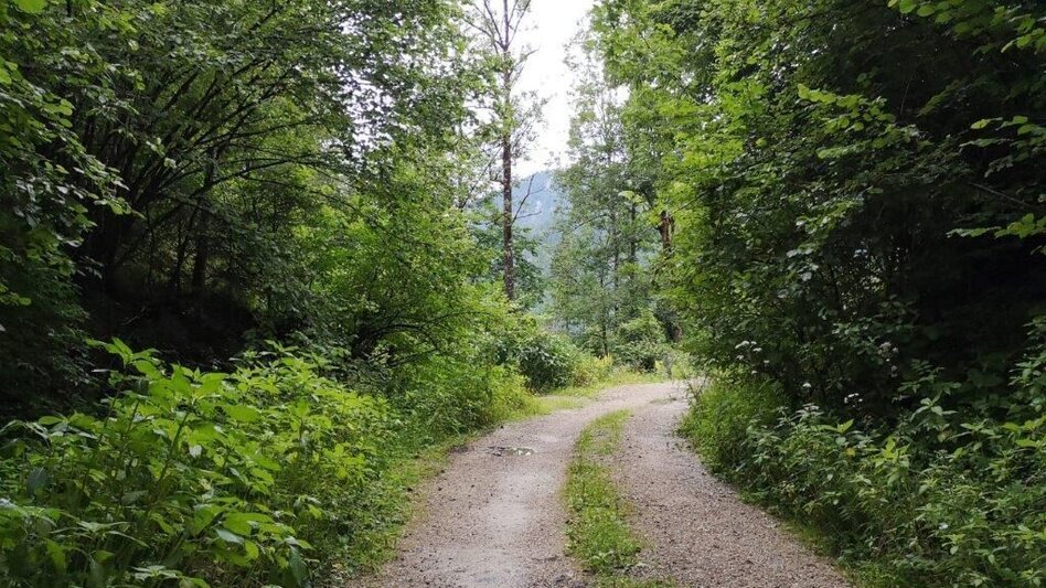 Hiking route Landler Country walk #3 - Touren-Impression #2.4 | © TV Gesäuse