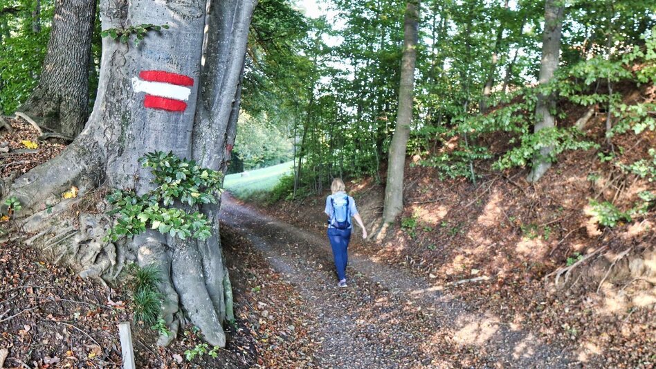 Hiking route Zotter-Schleife Genusswanderweg Riegersburg - Touren-Impression #2.8 | © Thermen- & Vulkanland