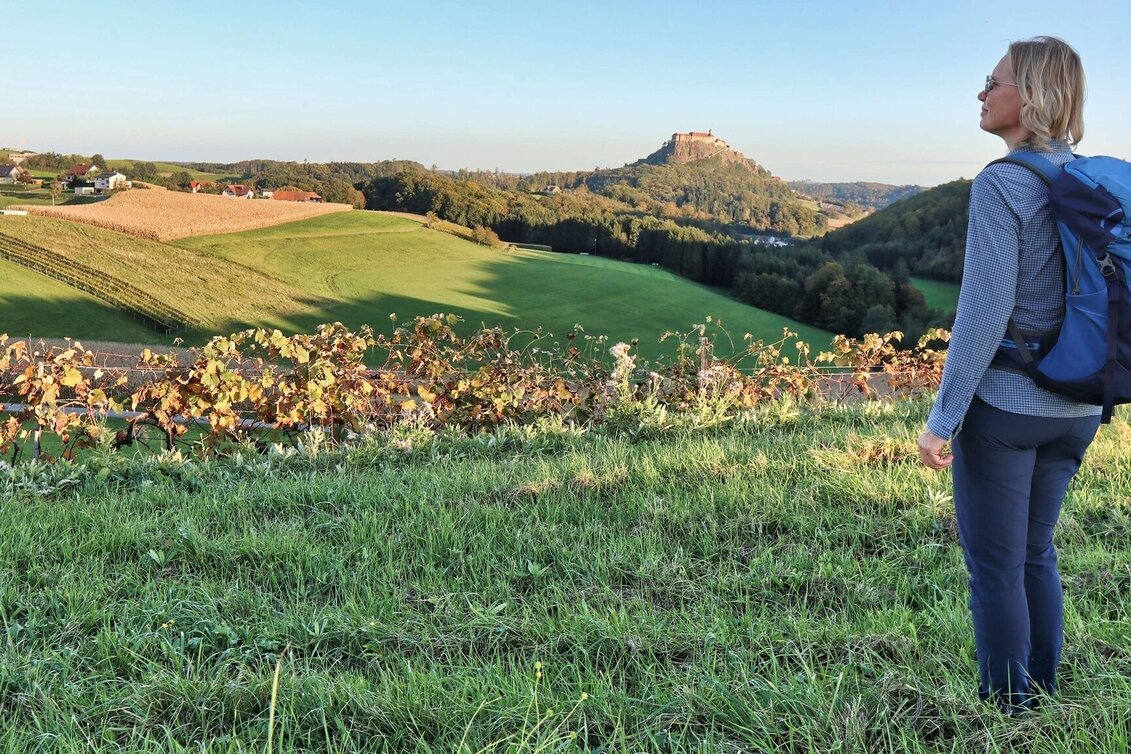 Hiking route Zotter-Schleife Genusswanderweg Riegersburg - Touren-Impression #1 | © Thermen- & Vulkanland