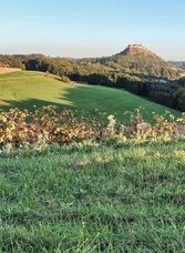 Wir genießen den Ausblick | © Thermen- & Vulkanland | Weges OG | © Thermen- & Vulkanland