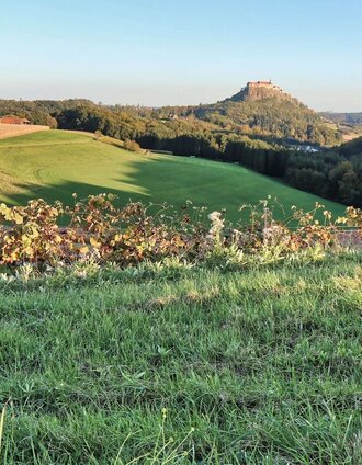 Wir genießen den Ausblick | Weges OG | © Thermen- & Vulkanland