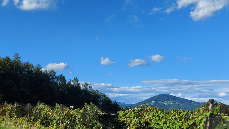 Theme path 7 places 7 treasures circular route, St. Ruprecht/Raab - Touren-Impression #2.3 | © Oststeiermark Tourismus