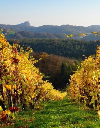 blicktour riegersburg_img_25534698 | Bernhard Bergmann | © TV Thermen- & Vulkanland