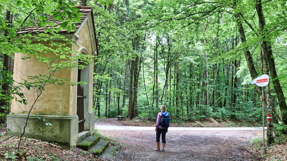 Wanderung Gölles-Schleife – Genusswanderweg rund um Riegersburg - Touren-Impression #2.5 | © Thermen- & Vulkanland