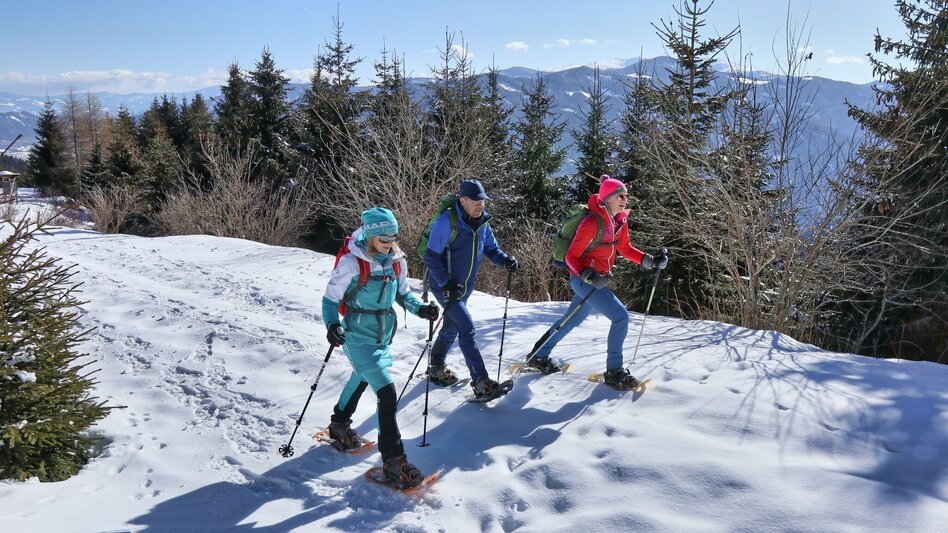 Snowshoe walking Snowshoe hike to Bocksruck - Touren-Impression #2.2 | © Weges OG