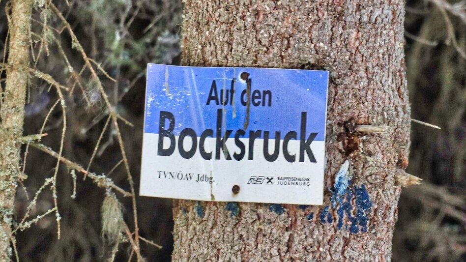 Snowshoe walking Snowshoe hike to Bocksruck - Touren-Impression #2.5 | © Weges OG