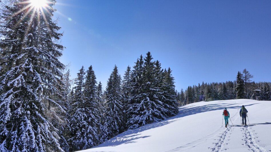 Snowshoe walking Snowshoe hike to Bocksruck - Touren-Impression #2.9 | © Weges OG