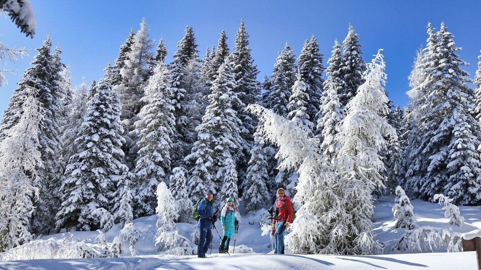 Snowshoe walking Snowshoe hike to Bocksruck - Touren-Impression #2.11 | © Weges OG