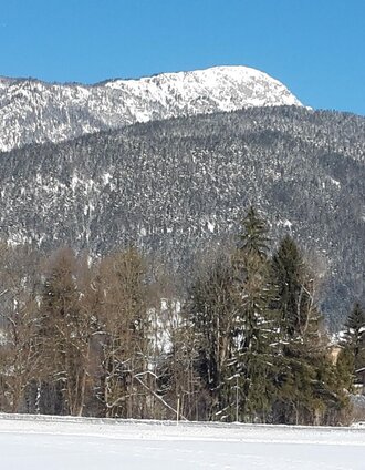 Ausblick auf die heimische Bergwelt | TVB Haus-Aich-Gössenberg | © Unbekannt
