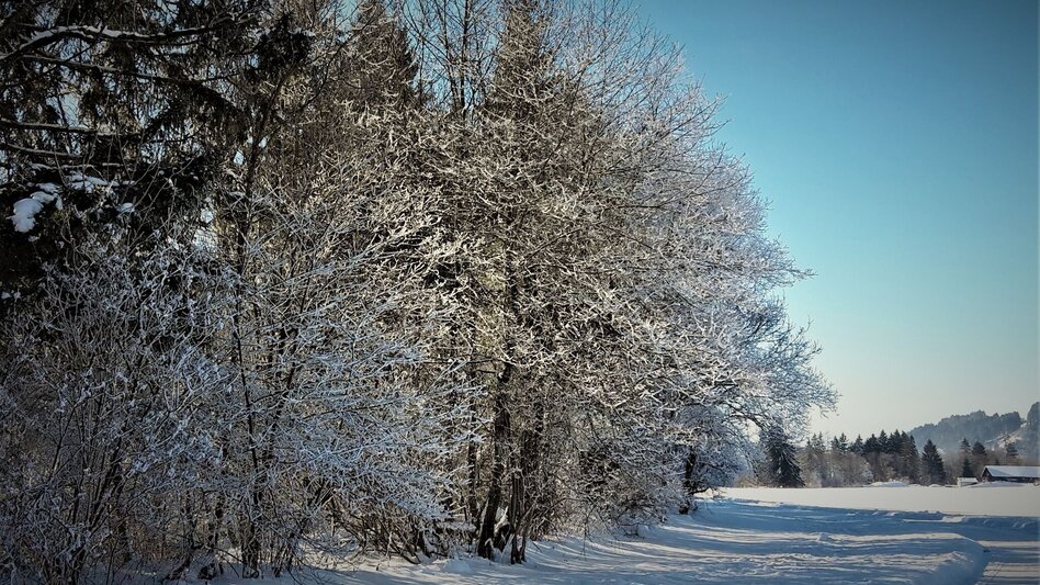 Ski-nordic-classic XC trail "Kufstein" Weißenbach - Touren-Impression #2.3 | © Unbekannt