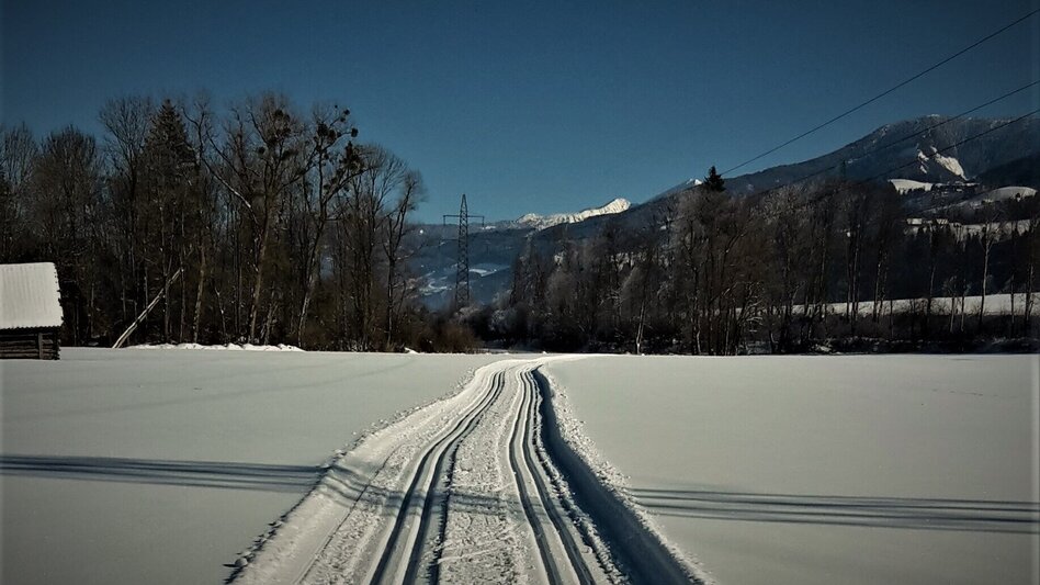 Langlauf Skating Dörferloipe Haus - Aich - Touren-Impression #2.2 | © Unbekannt