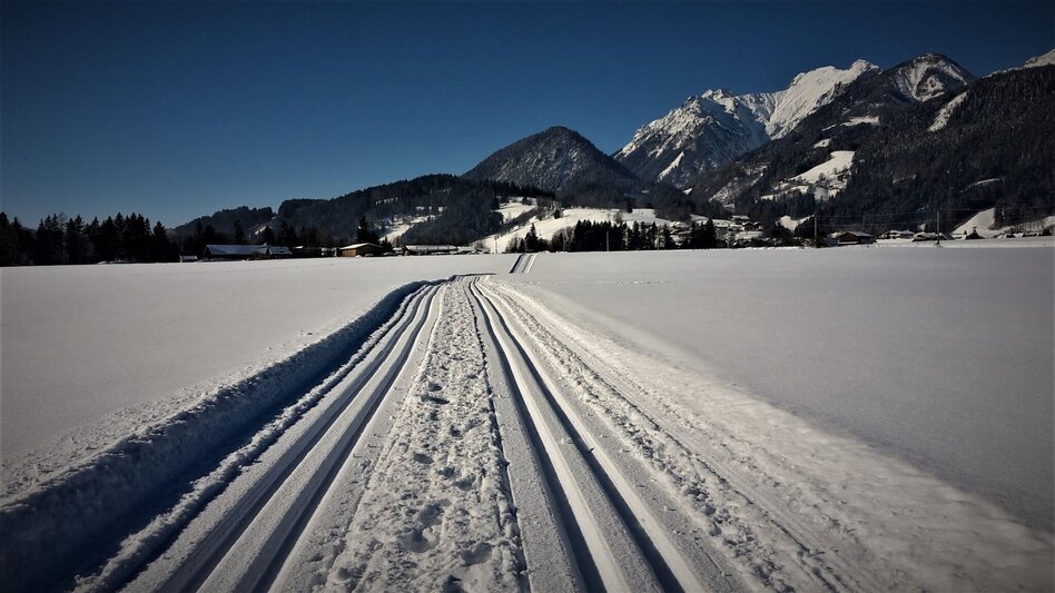Langlauf Skating Dörferloipe Haus - Aich - Touren-Impression #2.4 | © Unbekannt