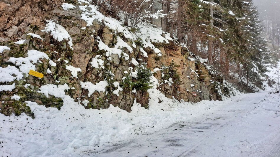 Snowshoe walking Steinplan via Kleinlobming - Touren-Impression #2.3 | © Weges OG