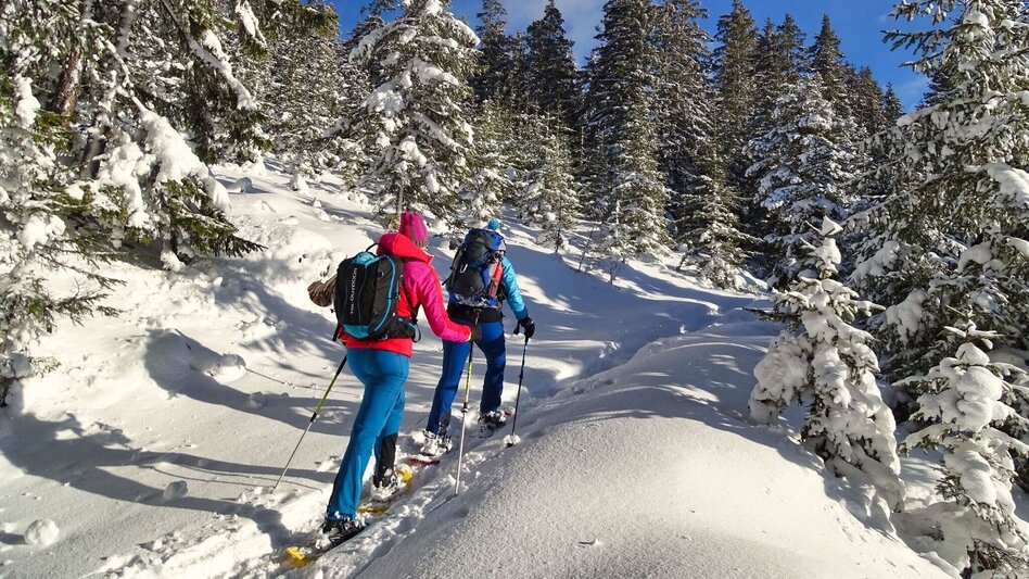 Snowshoe walking Steinplan via Kleinlobming - Touren-Impression #2.4 | © Weges OG