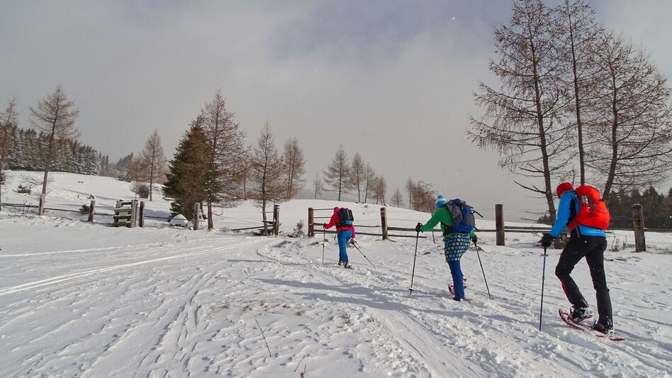 Snowshoe walking Steinplan via Kleinlobming - Touren-Impression #2.5 | © Weges OG