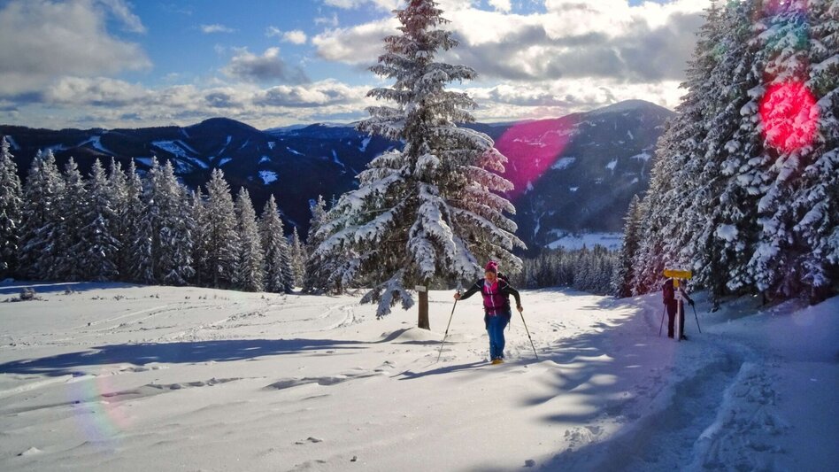Snowshoe walking Steinplan via Kleinlobming - Touren-Impression #2.8 | © Weges OG