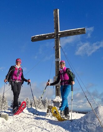 Unser Ziel erreicht - der Steinplan | Weges OG | © Weges OG