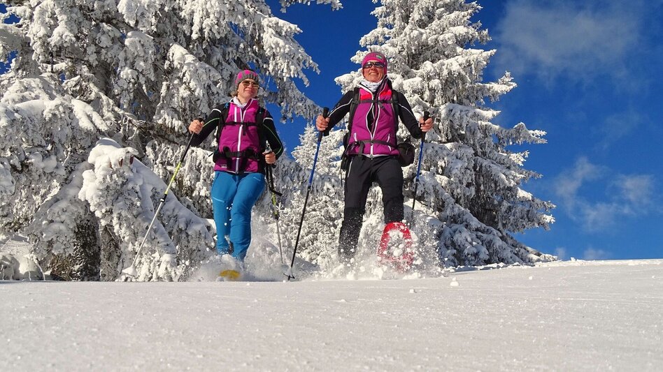 Snowshoe walking Steinplan via Kleinlobming - Touren-Impression #2.10 | © Weges OG