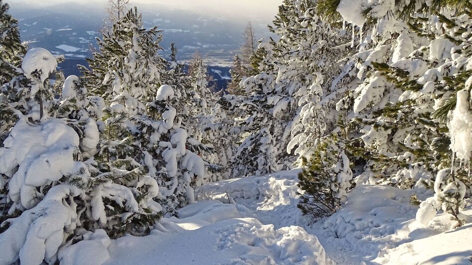 Snowshoe walking Steinplan via Kleinlobming - Touren-Impression #2.11 | © Weges OG
