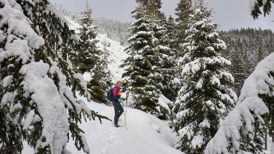 Snowshoe walking Rosenkogel from St. Oswald - Touren-Impression #2.3 | © Weges OG