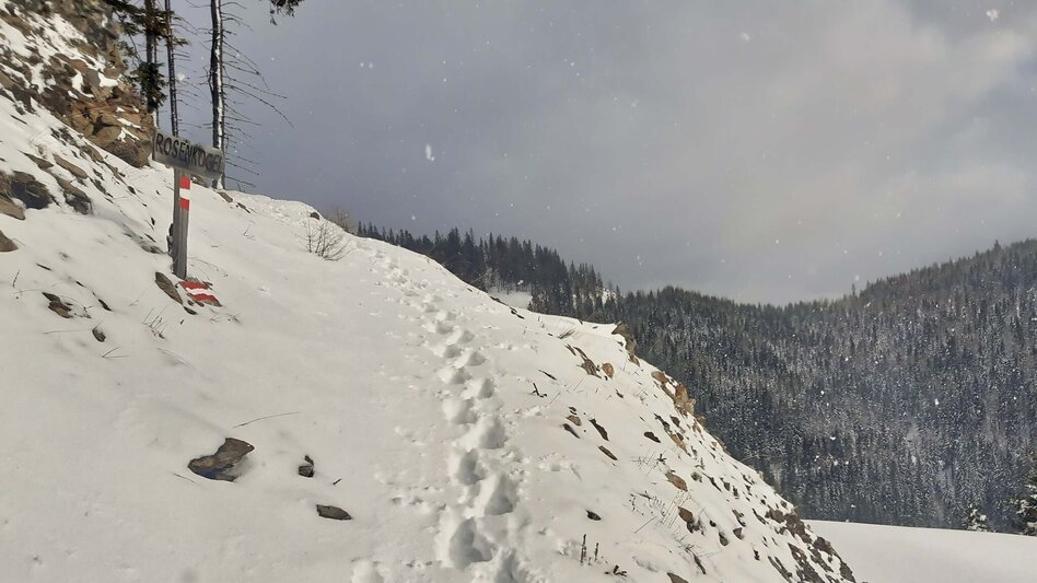 Snowshoe walking Rosenkogel from St. Oswald - Touren-Impression #2.5 | © Weges OG