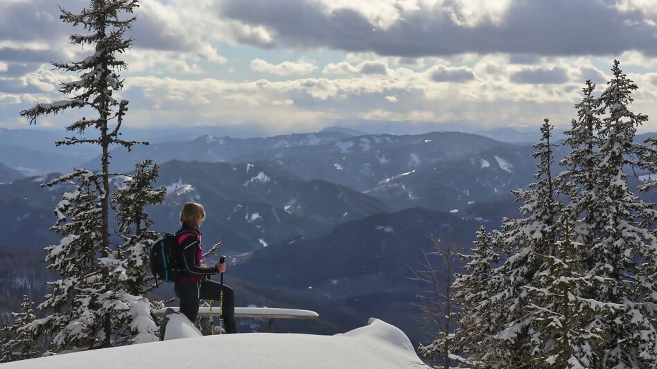 Snowshoe walking Rosenkogel from St. Oswald - Touren-Impression #2.6 | © Weges OG