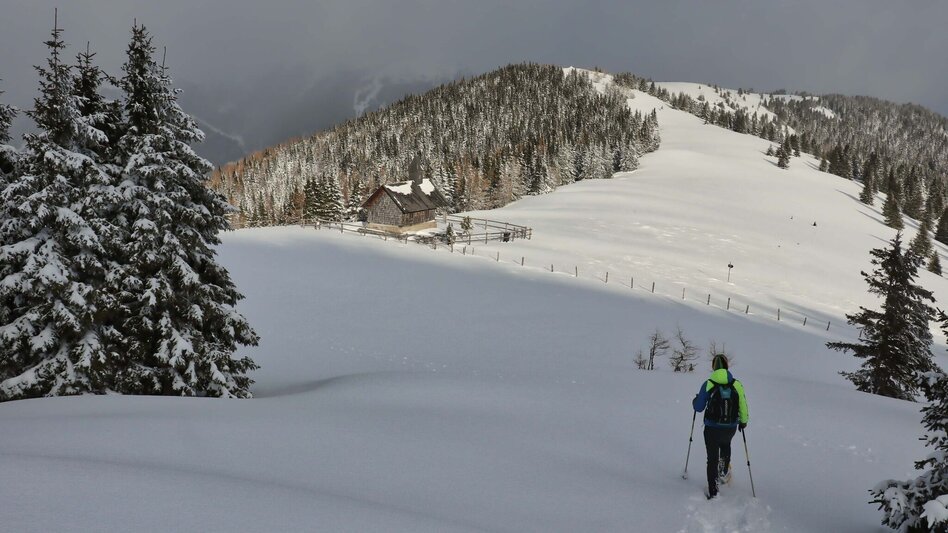 Snowshoe walking Rosenkogel from St. Oswald - Touren-Impression #2.8 | © Weges OG