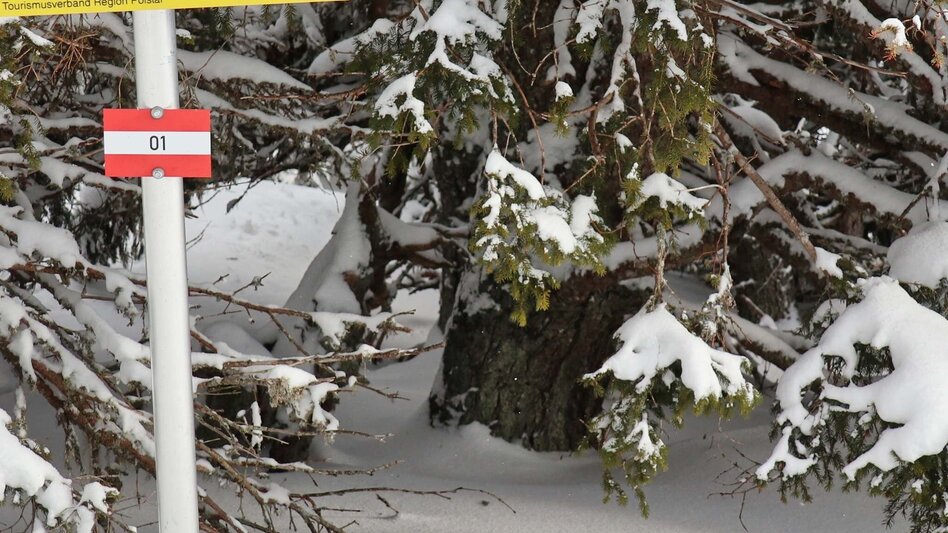 Snowshoe walking Rosenkogel from St. Oswald - Touren-Impression #2.11 | © Erlebnisregion Murtal