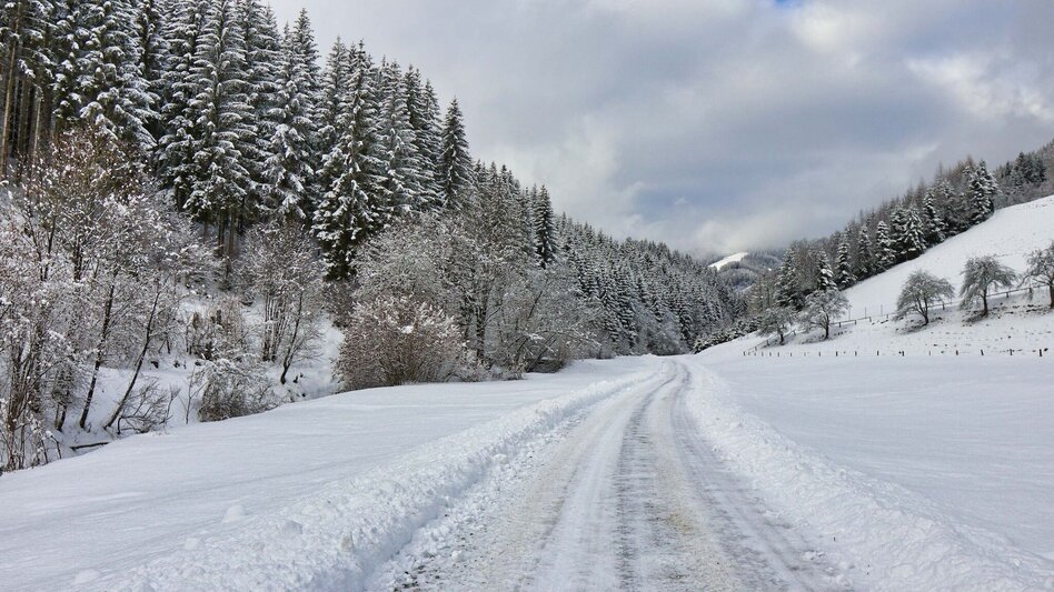 Snowshoe walking Easy snowshoe hike to the schwarzer Herrgott - Touren-Impression #2.3 | © Weges OG