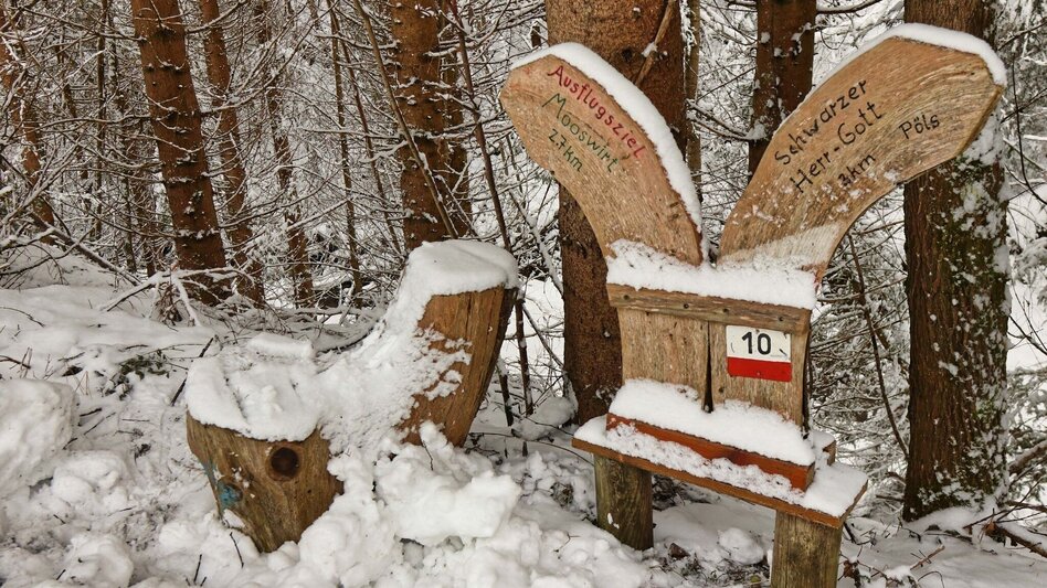 Snowshoe walking Easy snowshoe hike to the schwarzer Herrgott - Touren-Impression #2.5 | © Weges OG