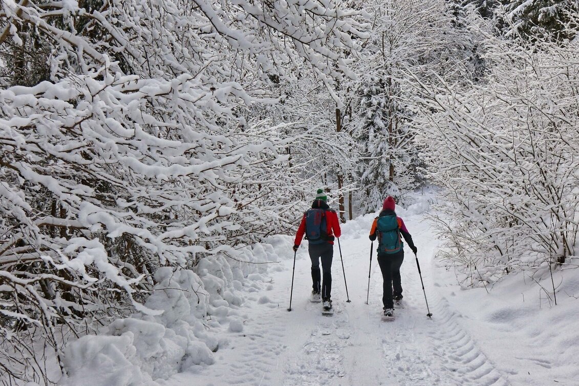 Snowshoe walking Easy snowshoe hike to the schwarzer Herrgott - Touren-Impression #1 | © Weges OG