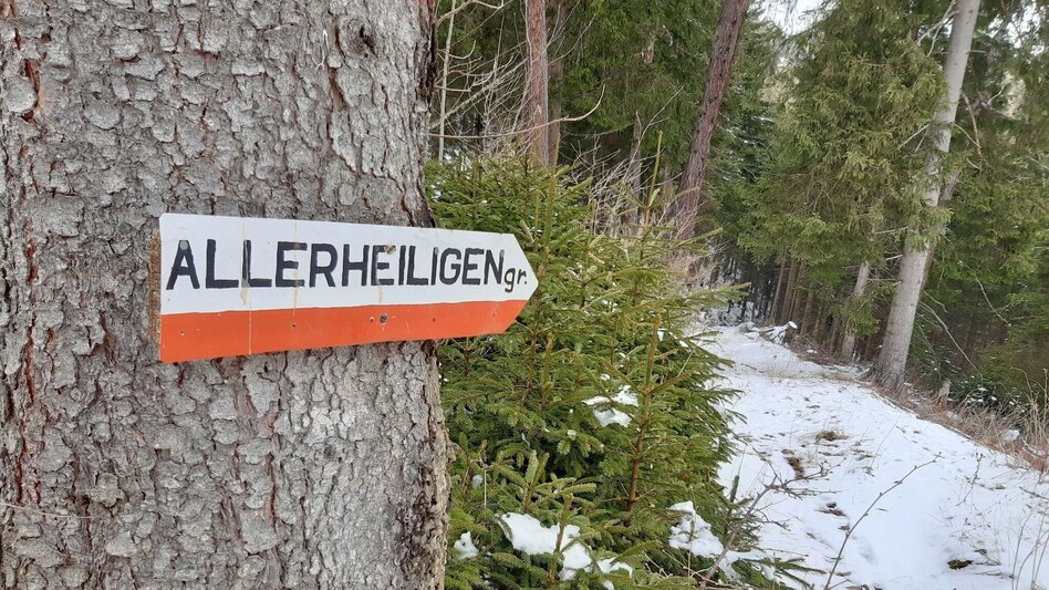 Snowshoe walking Easy snowshoe hike to the schwarzer Herrgott - Touren-Impression #2.10 | © Weges OG
