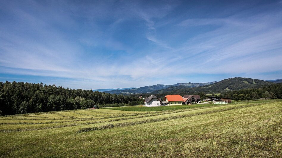 Bike Riding Ins Gratkorner Hinterland - Touren-Impression #2.3 | © Region Graz
